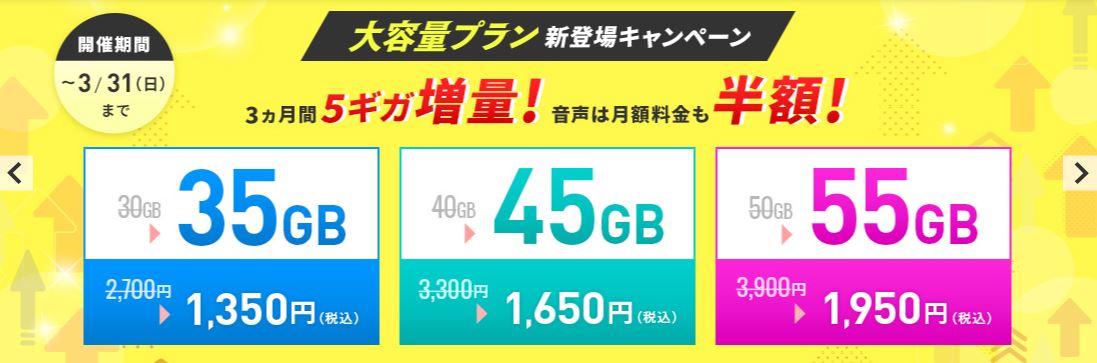 BIC SIM